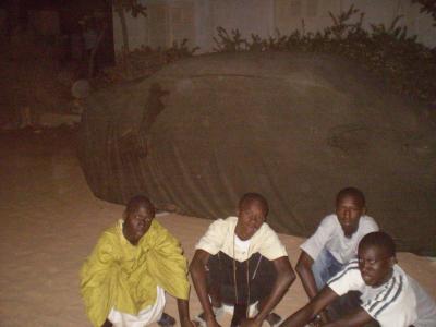 wa puissance junior