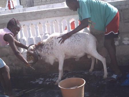 pape et astou lavent